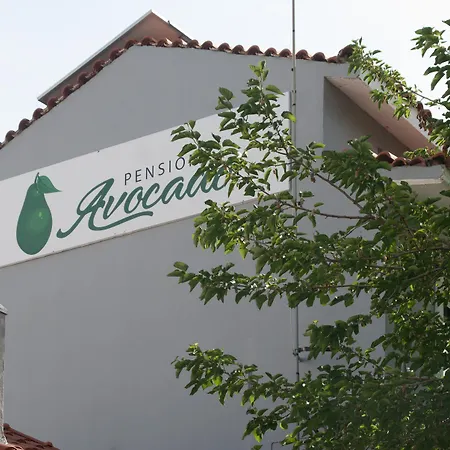 Avocado Skiathos Town