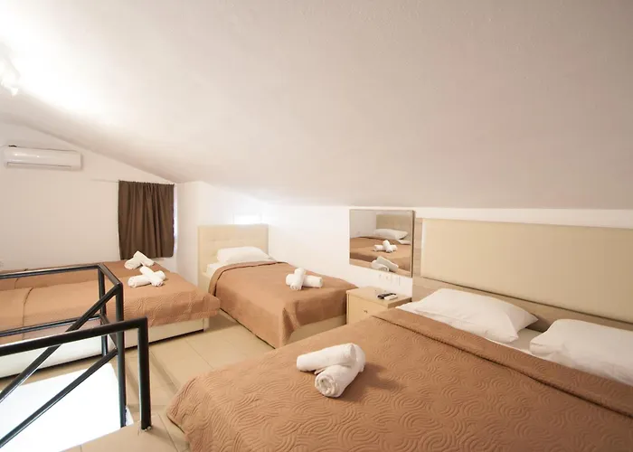 Guest house Avocado 3*